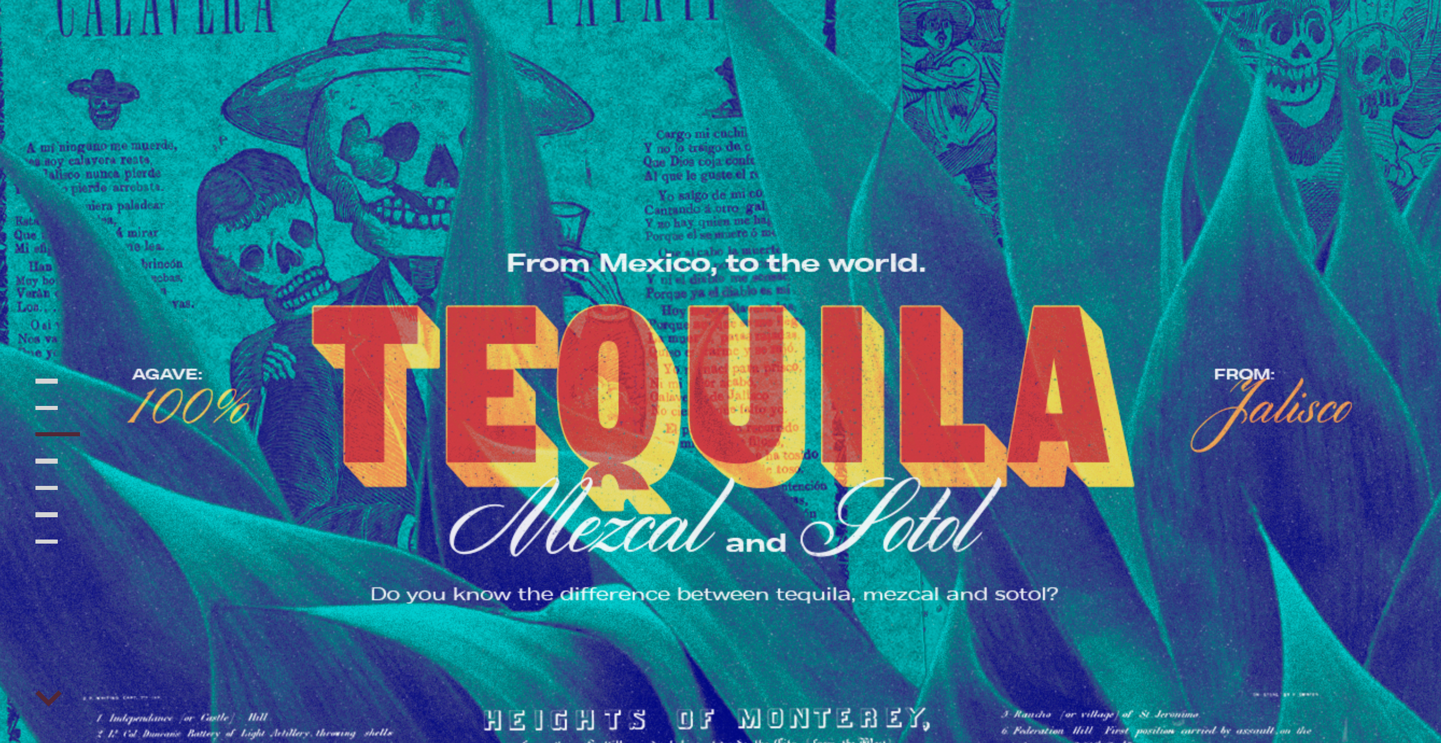 Types of Tequila story image
