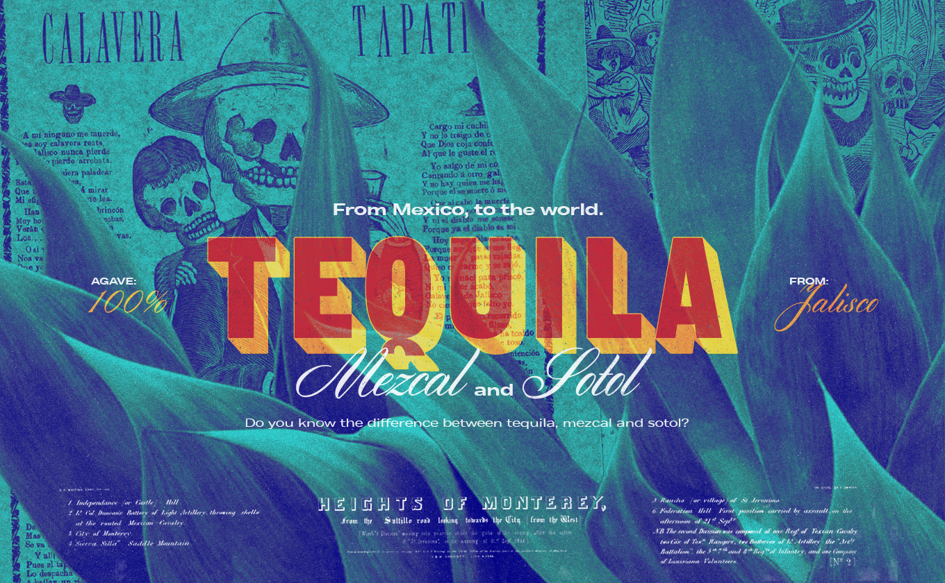 Tequila Mezcal Sotol